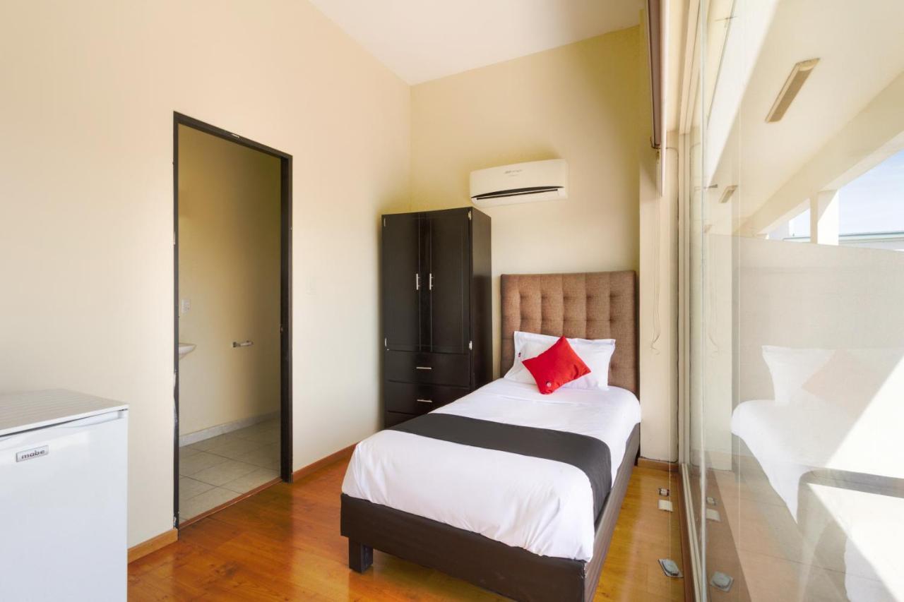 Hotel Ecohabit, Monterrey Apodaca Zewnętrze zdjęcie