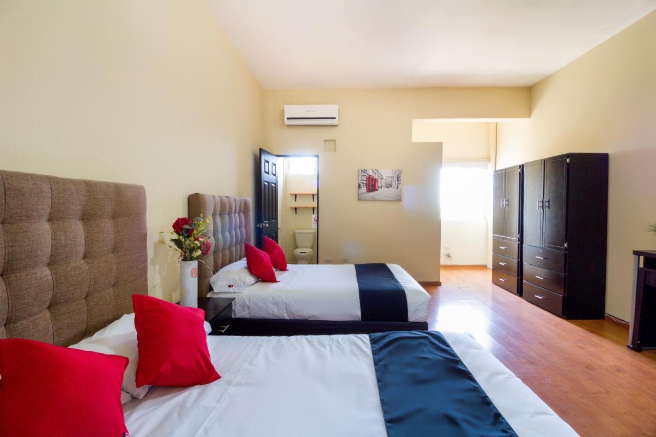 Hotel Ecohabit, Monterrey Apodaca Zewnętrze zdjęcie