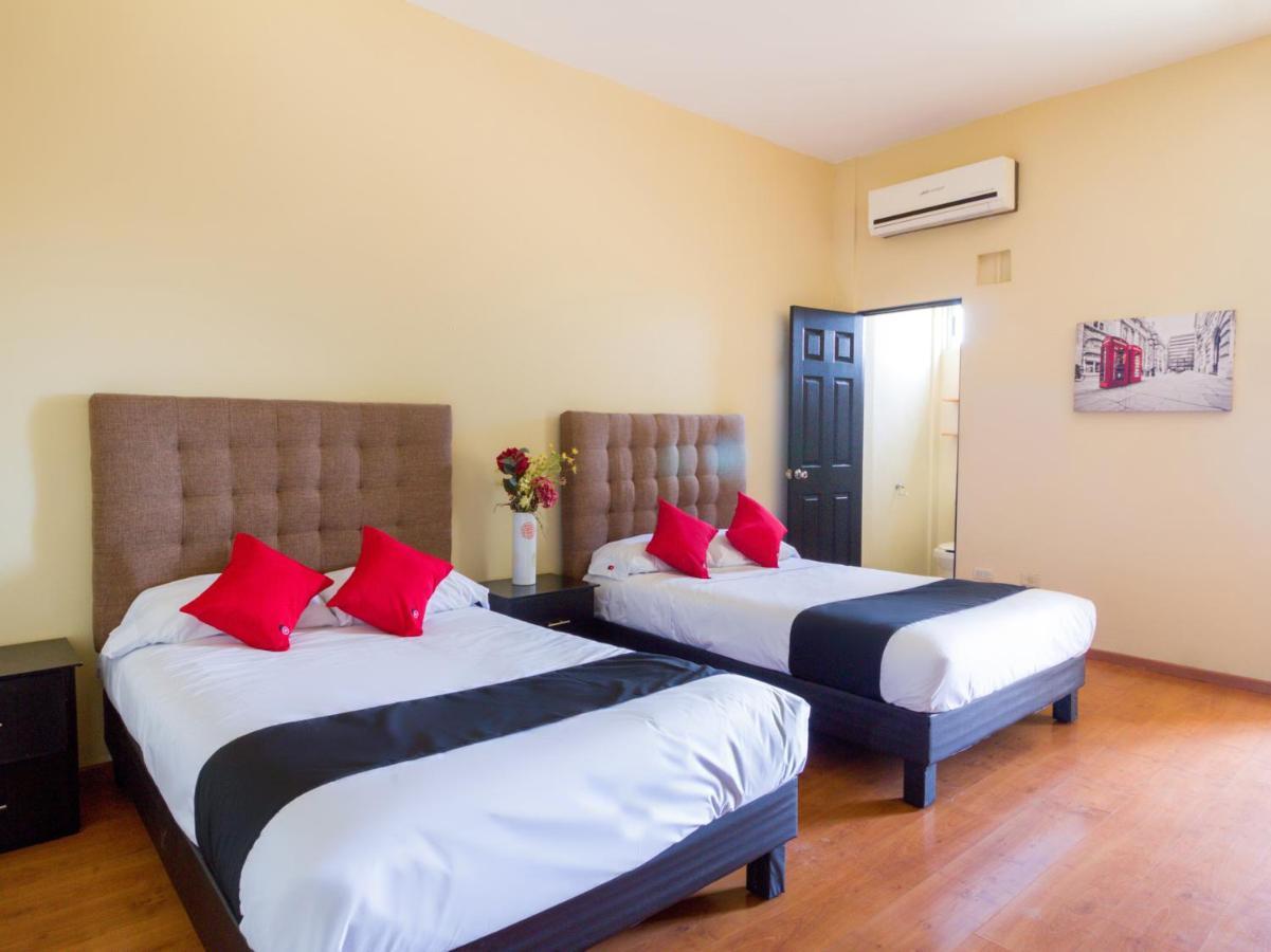 Hotel Ecohabit, Monterrey Apodaca Zewnętrze zdjęcie