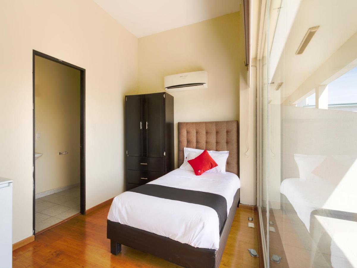 Hotel Ecohabit, Monterrey Apodaca Zewnętrze zdjęcie