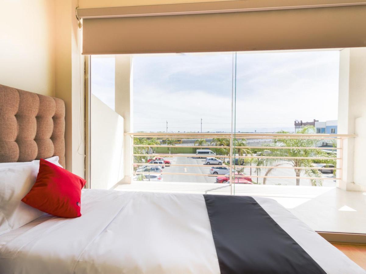 Hotel Ecohabit, Monterrey Apodaca Zewnętrze zdjęcie